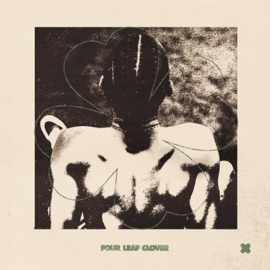 Four Leaf Clover Oblé Reed