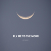 JOE LENNY - Fly Me To The Moon artwork