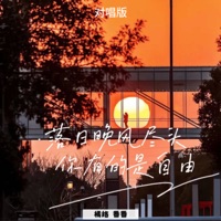 落日晚风尽头 你有的是自由 (对唱版) - Single - 橘络 & 番番
