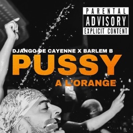 P***y a l'orange (feat. Barlem B) Django De Cayenne