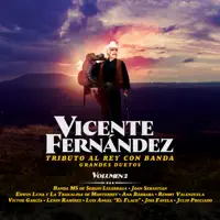 El Último Barco — Vicente Fernández & Joan Sebastian