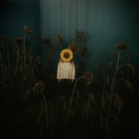 lonely - Single - Moose Lee