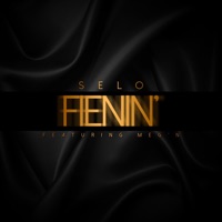 Fienin' (feat. Meg'n) - Single - Selo