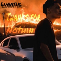 Thanks For Nothin - Single - Lunatik