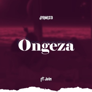 Ongeza (feat. Jein)