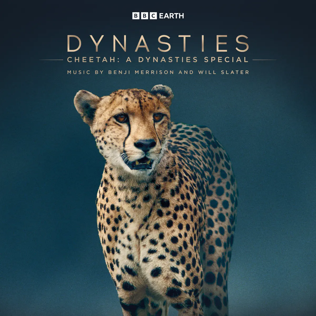 Benji Merrison & Will Slater - 王朝: 猎豹 Cheetah: A Dynasties Special (Original Television Soundtrack) (2024) [iTunes Plus AAC M4A]-新房子