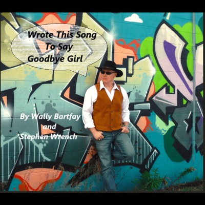 Wrote This Song To Say Goodbye Girl - Single