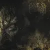 Krater - Splitter