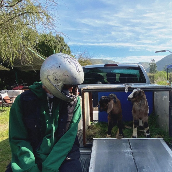 yung goat