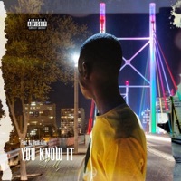 You Know It (feat. Shoddy n) - Single - DJ Vend-Linu