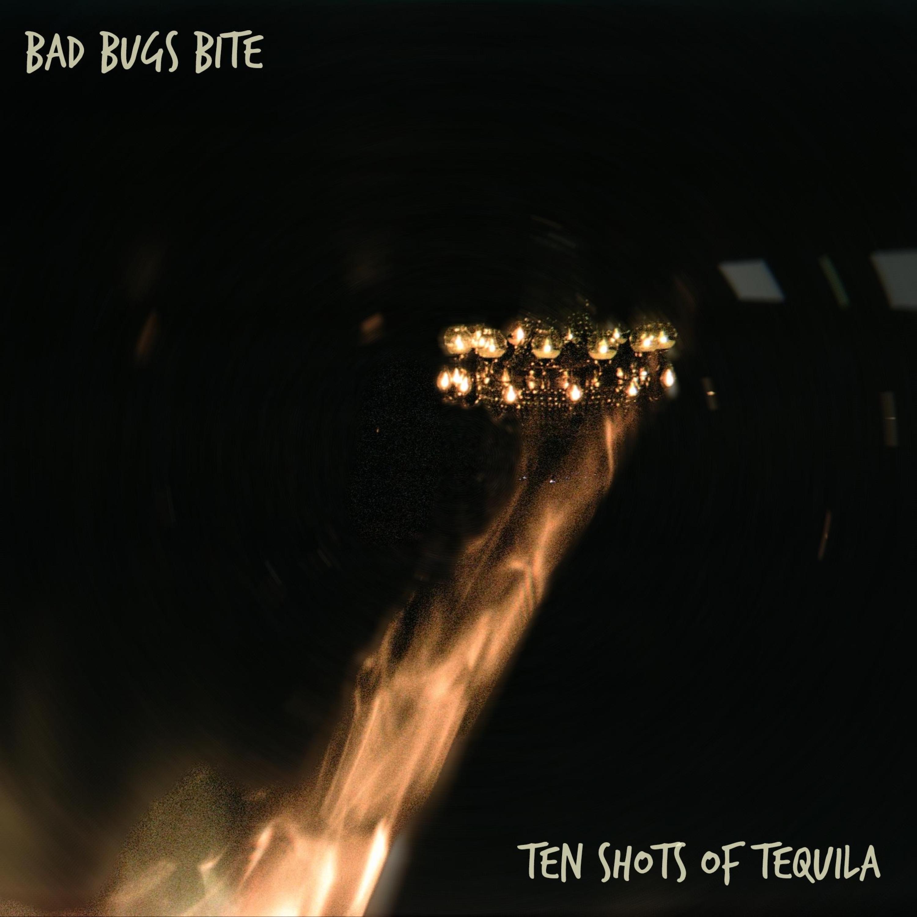 ten shots of tequila - Single