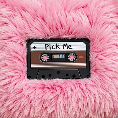 Escucha Pick Me de Iren & El Mad