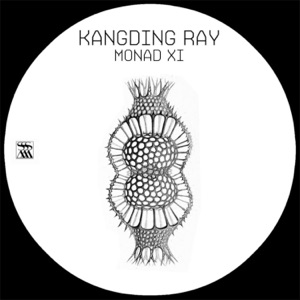Monad XI - EP