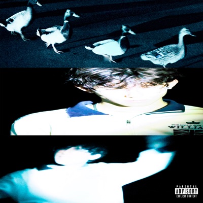 LIGHT (feat. LEAN & WAVS) - Single