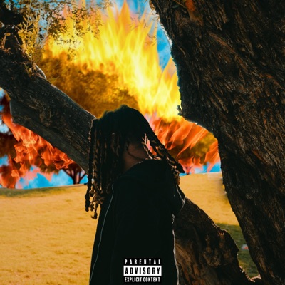 Mäke uh move (feat. APEISRICH) - Single