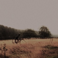 crane fly (feat. ODXN536) - Single - saturn's lament