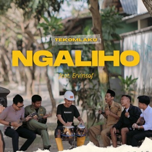 Chord Gitar Ngaliho - TEKOMLAKU feat Ervinsof