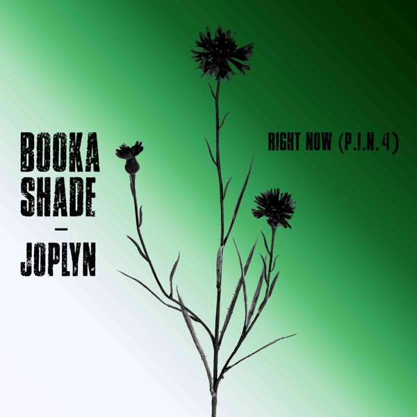Right Now (P.I.N. 4) - Single