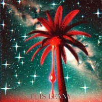 We Can Steal The Light - Single - Lenny & Spinning Echoes