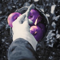 The Purple-Apple Tree: Bumper Crops DELUXE - Nomrah