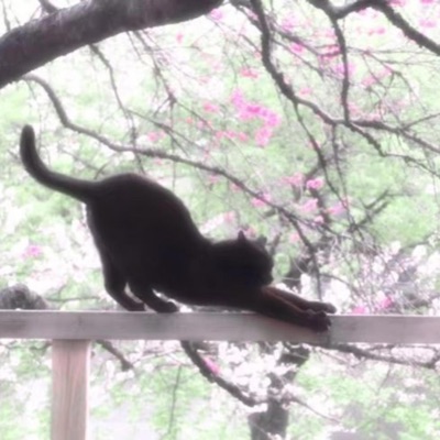 you feel so right - Single