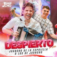 Despierto (En Vivo) - Single - Juancho de la Espriella & Los de Juancho