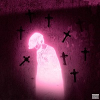 CGPA - Single - colle$ttye