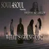 Soul 4 Soul - What's Going On (feat. Freddie McGregor)