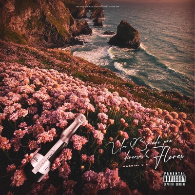 UM BRINDE PRA DIVERSAS FLORES - Single