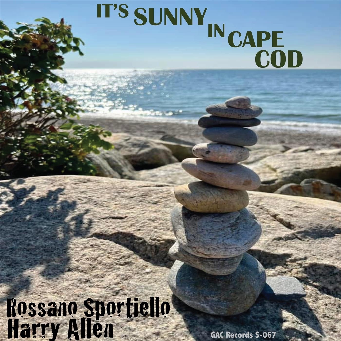 It's Sunny in Cape Cod - Single