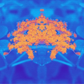 Wit Da Heat Dasoma & KiLO