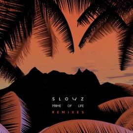 Morning Lights (feat. Clarens) [5 Reasons Remix] Slowz