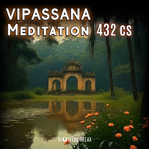 Vipassana Meditation 432 Cs