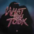 What you took