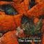 A Very Lofi Thanksgiving 3 (The Long Decay) - EP
