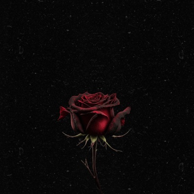 Que Fue De Ti :( - Single