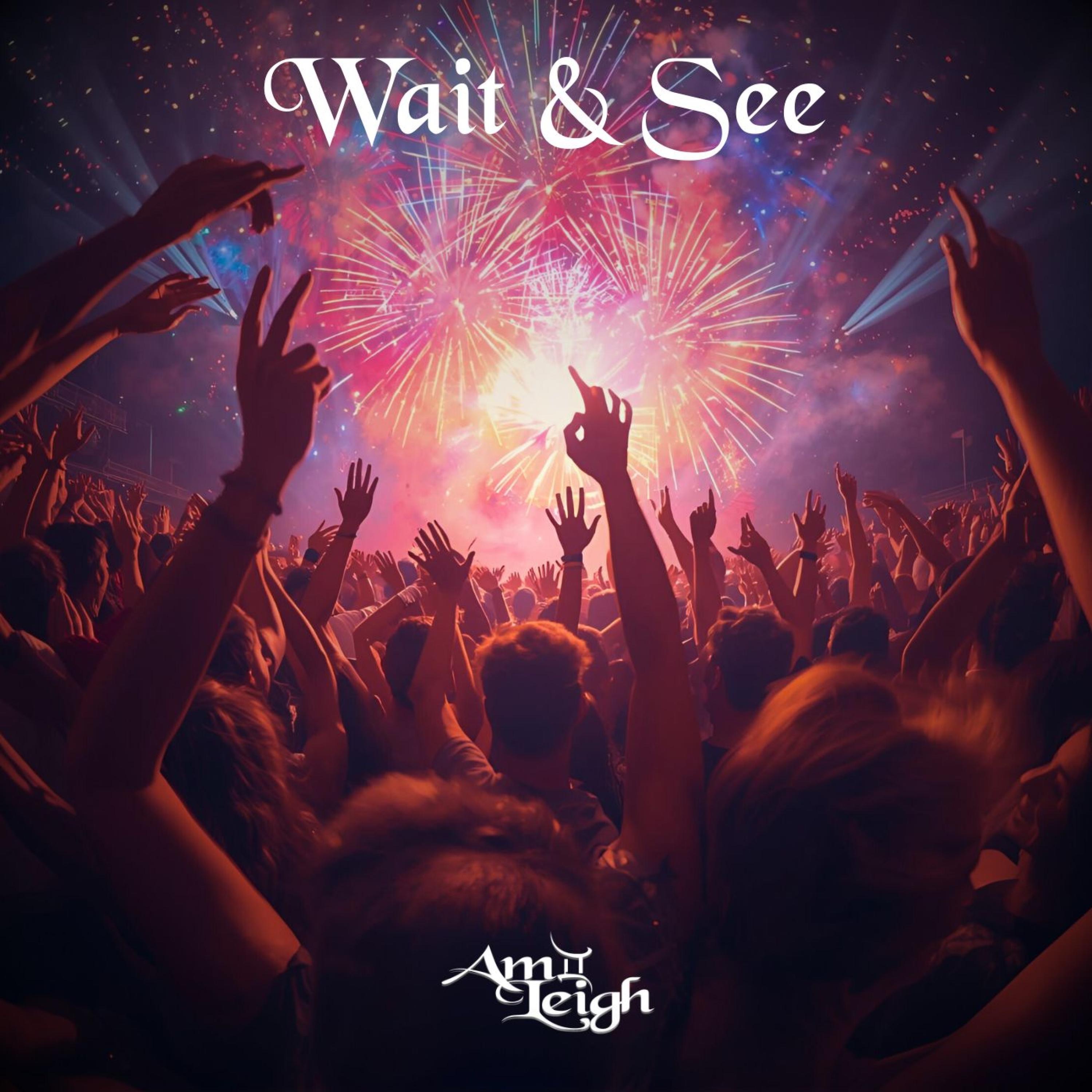 Wait & See - Single
