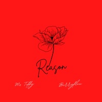Reason (feat. Berryflex) - Single - Mz Tiffy