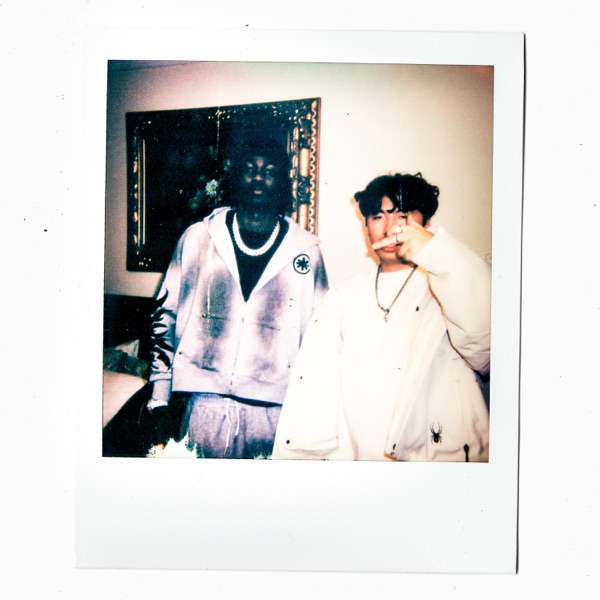 Landed in Brooklyn - Remix - Single