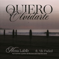 Quiero Olvidarte - Single - Mena Labib & Vik Faded