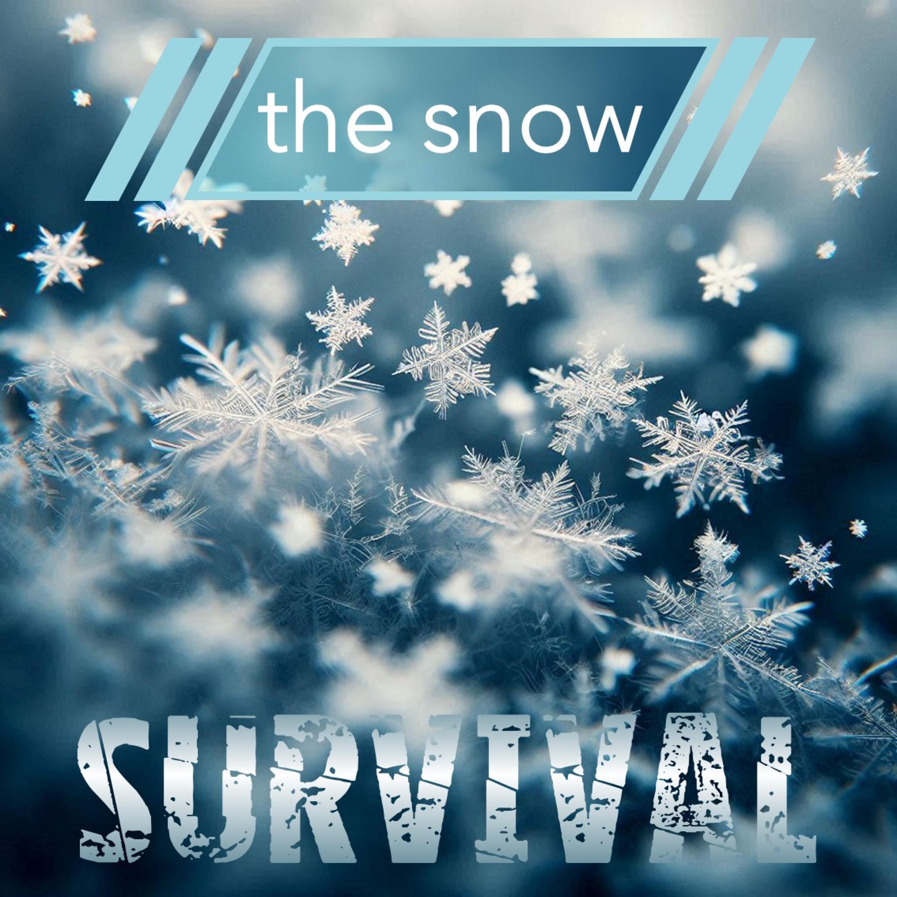 The Snow - Single