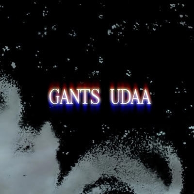 Gants udaa - Single