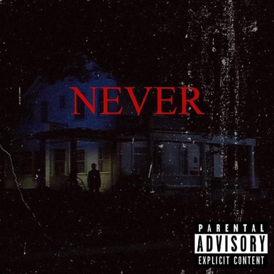 Never - Single