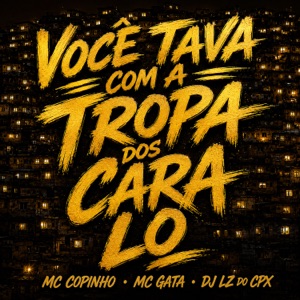Você Tava Com a Tropa dos Caras Lo - Single