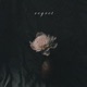 Regret Single