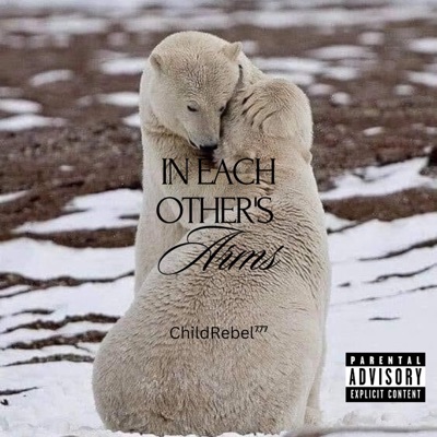 IN EACH OTHERS ARMS - Single