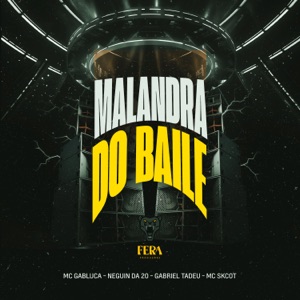 Malandra do Baile (feat. MC Skcot)