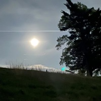 Face Down (feat. Craig.wav) - Single - BLXNKSPXC3 Eli