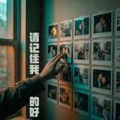 请记住我的好 Remember the Best of Me