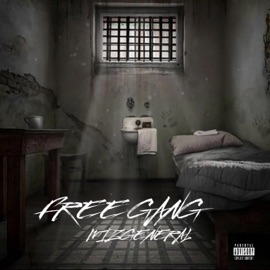 Free Gang Mizgeneral